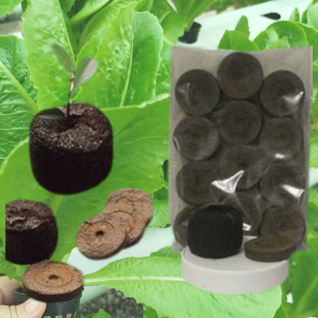 SUSTRATO EN PELLETS MONEDAS, SUSTRATO EN PELLETS MONEDAS, Fabricadas con turba de musgo de Sphagnum envueltas con una malla muy fina biodegradable, las presentaciones de estos pellets son secos y comprimidos para su f�cil almacenaje. Ideal para sembrar hortalizas, flores, etc. 