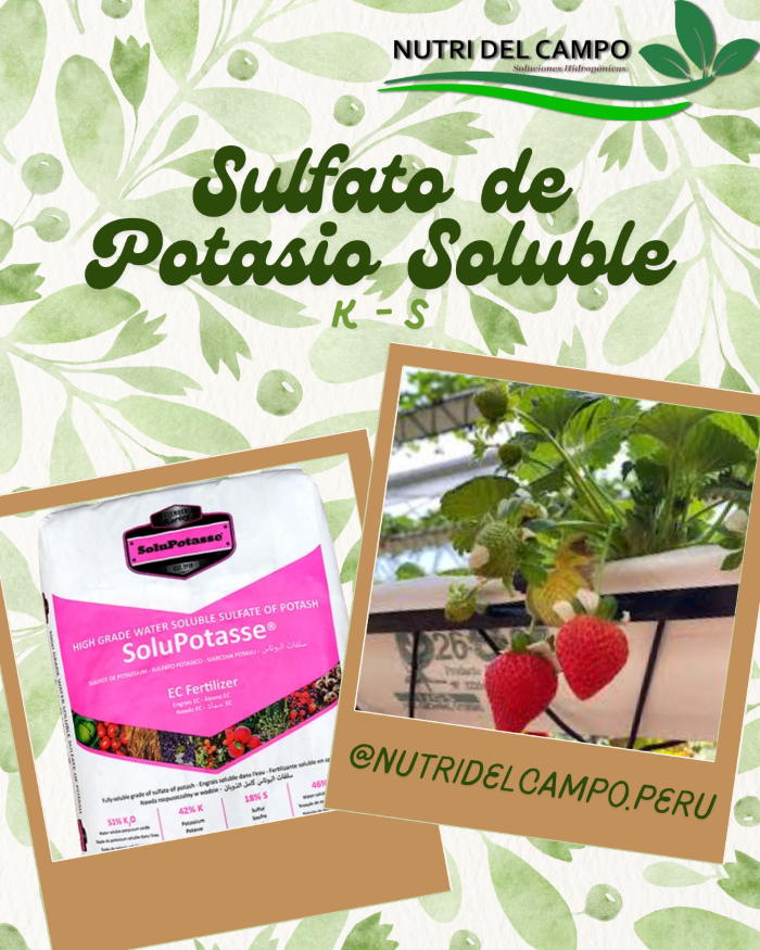 SULFATO DE POTASIO SOLUBLE, 