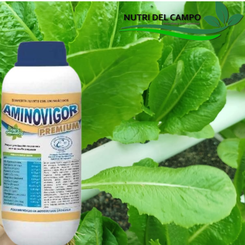 AMINOVIGOR, 