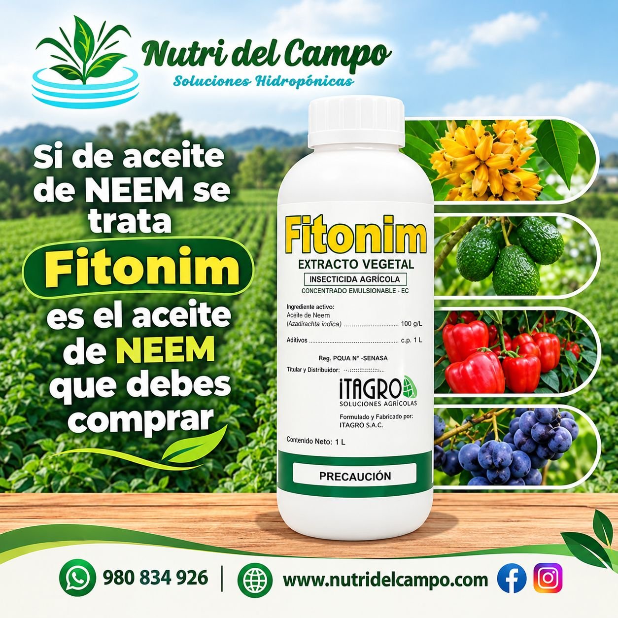 ACEITE DE NEEM - FITONIM X 1 LT