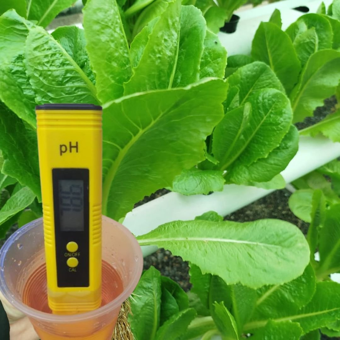 MEDIDOR DE PH + CALIBRADORES PARA HIDROPONIA