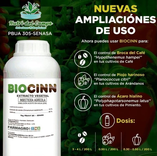 EXTRACTO DE CANELA - BIOCCIN X 1 LT