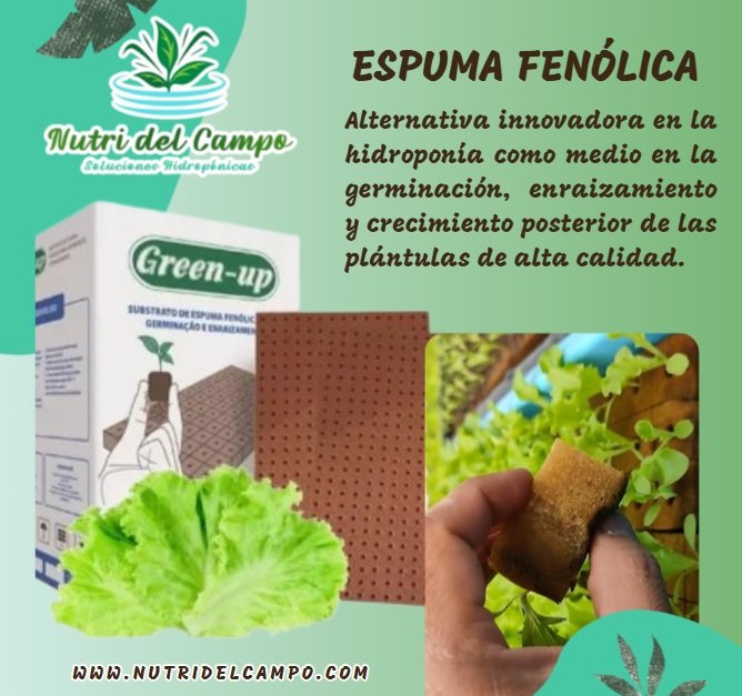ESPUMA FENOLICA (Hidrofoam) - GREEN UP