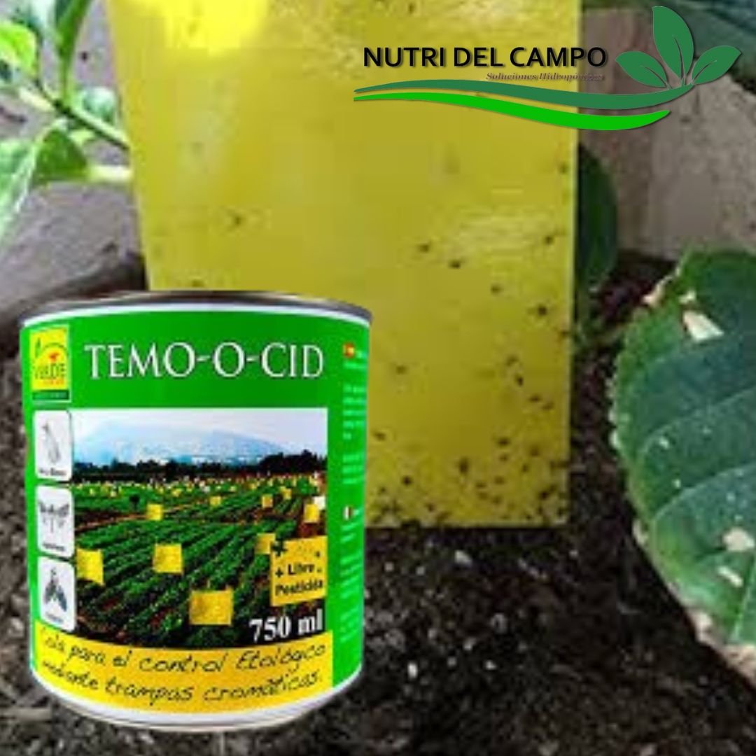 COLA ENTOMOLGICA TEMO-O-CID x 750 ML
