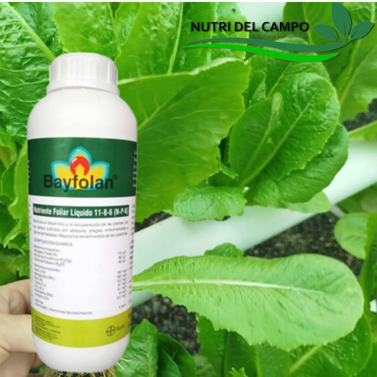 BAYFOLAN 11-8-6