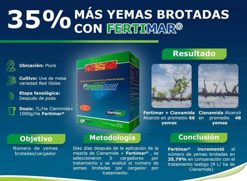 FERTIMAR EN POLVO (Algas Marinas)