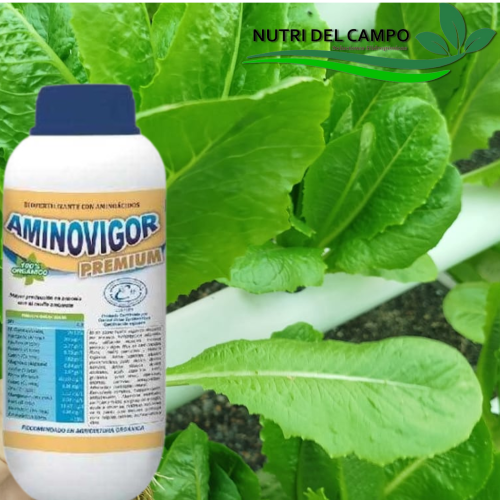 AMINOVIGOR