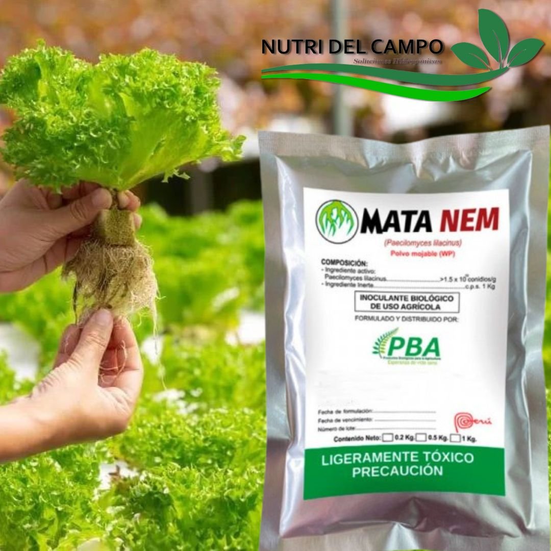 MATA NEM WP