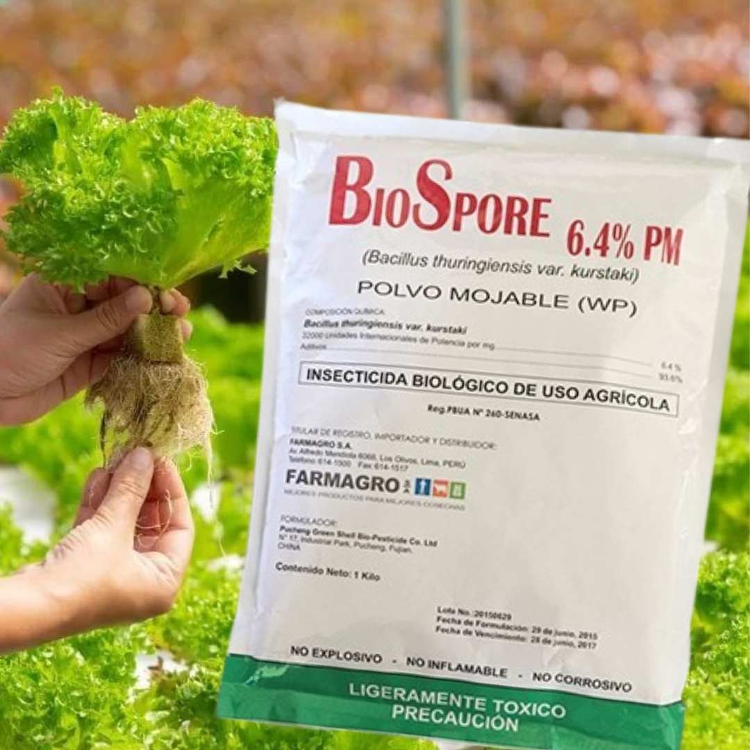 BIOSPORE 6.4% PM (Bacillus thuringiensis var. kurstaki)