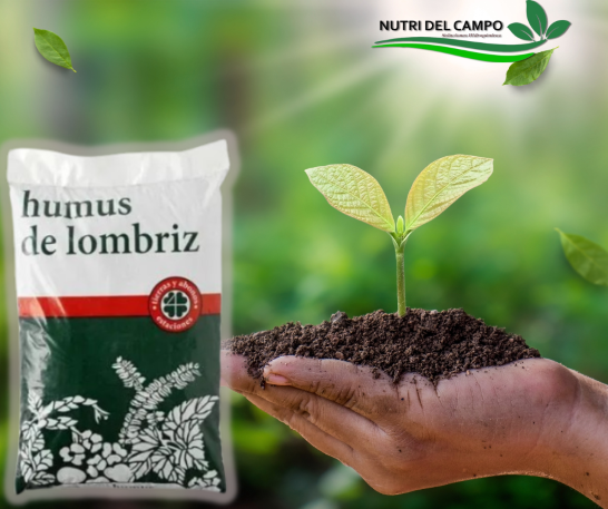 HUMUS DE LOMBRIZ X 20 KG