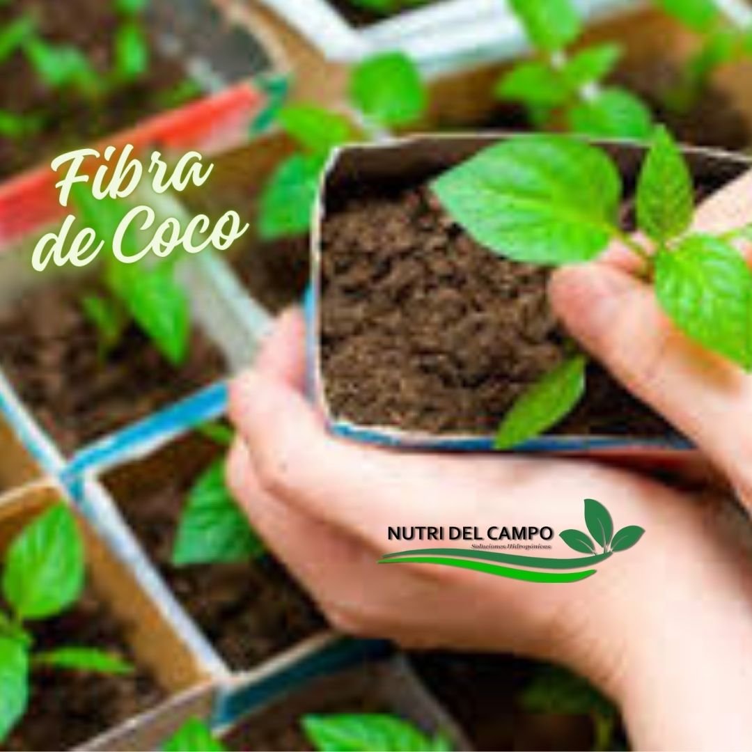 SUSTRATO FIBRA DE COCO
