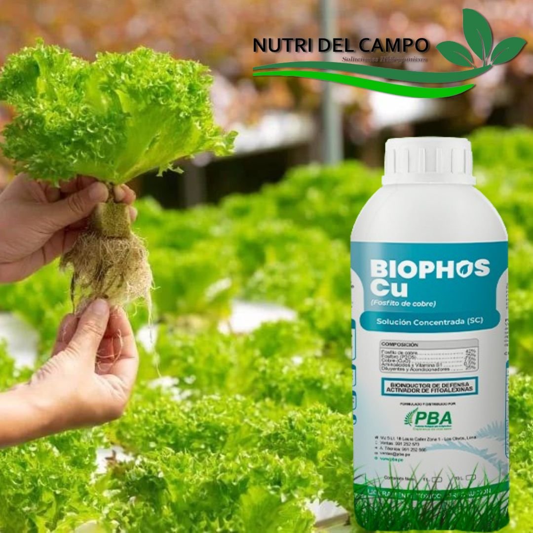 BIOPHOS Cu 
