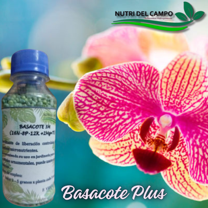 BASACOTE PLUS