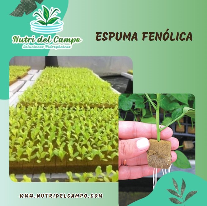ESPUMA FENOLICA (Hidrofoam) - GREEN UP