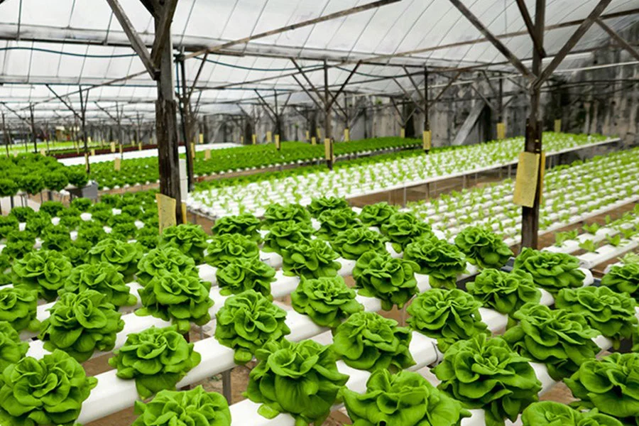 Nutri del Campo — Insumos y servicios para el campo